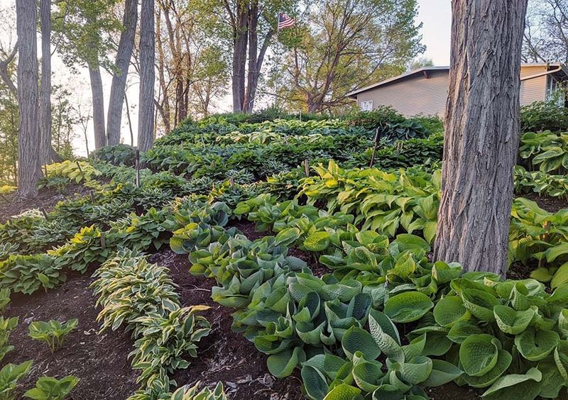 Layer For Natural Flow