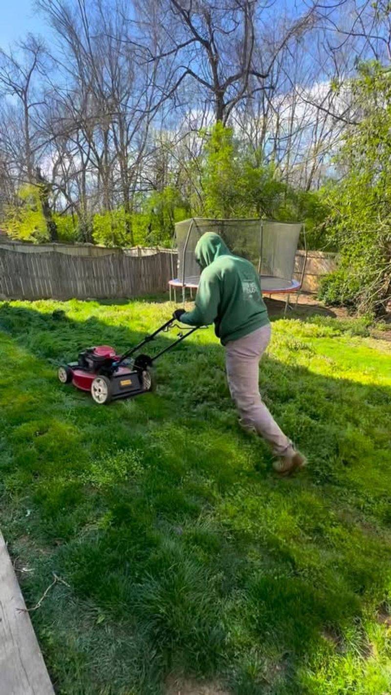 DIY Vs. Professional Value