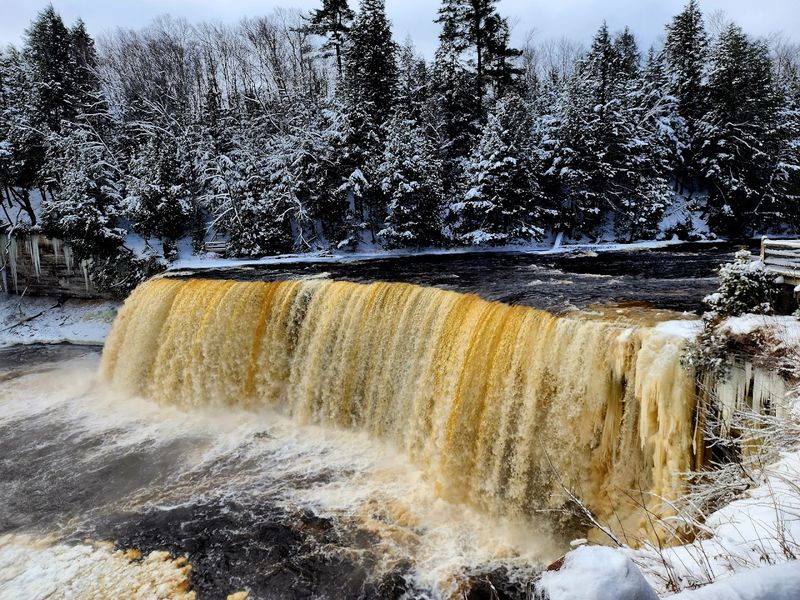 Tahquamenon Falls State Park Where Forest Trails Lead To Iconic Waterfalls