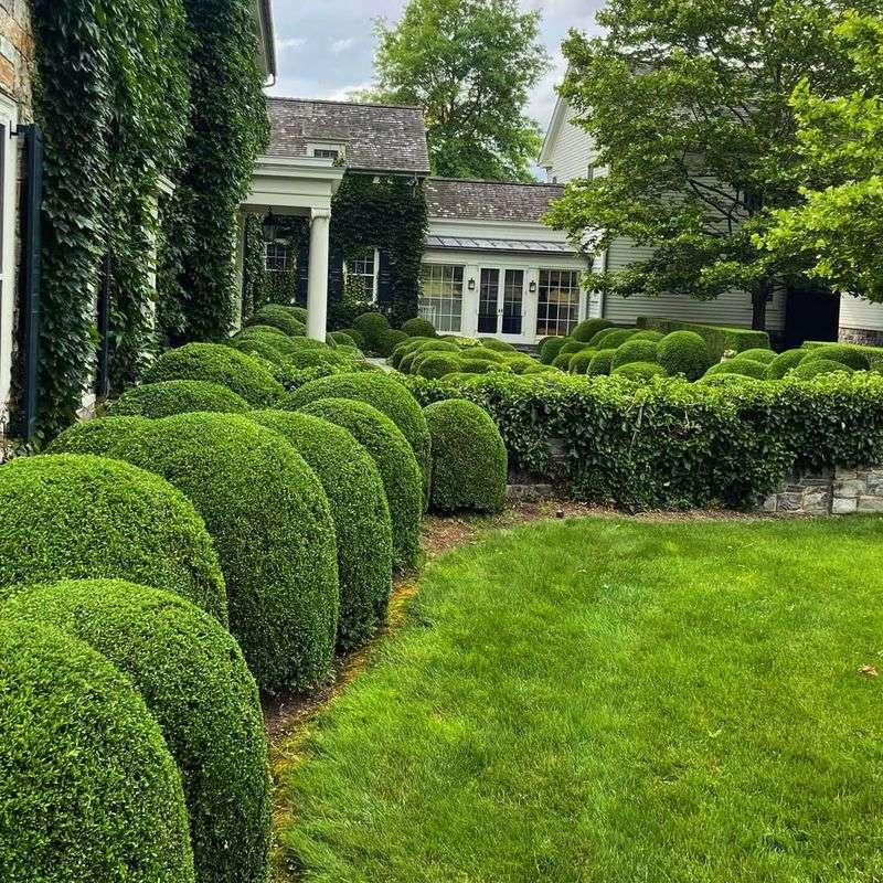 Slow Growth Means Less Pruning Near High-Traffic Areas