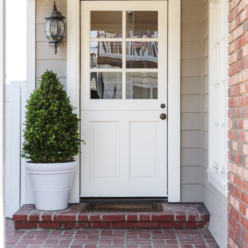 Compact Growth Fits Entryway Spaces