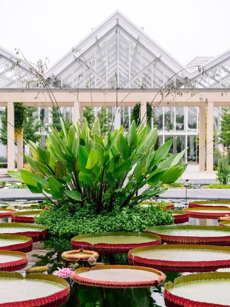 A Relaxing Destination For Nature Lovers And Garden Enthusiasts