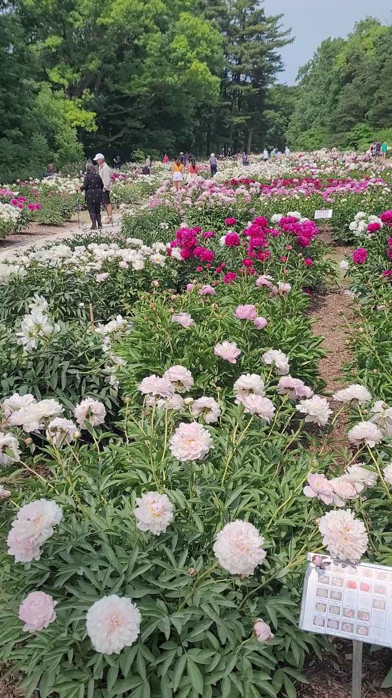 Take Advantage Of Free, Public Access