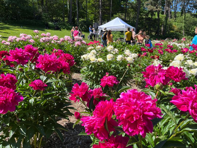 Discover Over 400 Plant Species