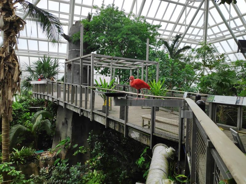 Perfect For Any Weather