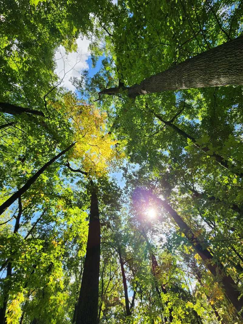 Enjoy 3.5 Miles Of Trails For Recreation