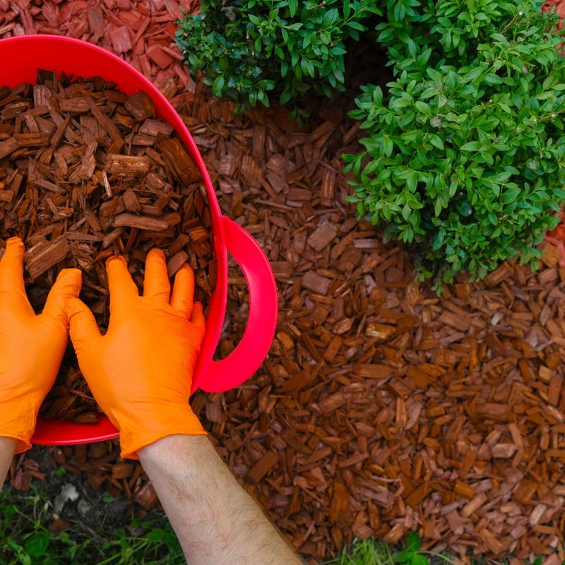 Mulch Helps Stabilize Soil Temperature