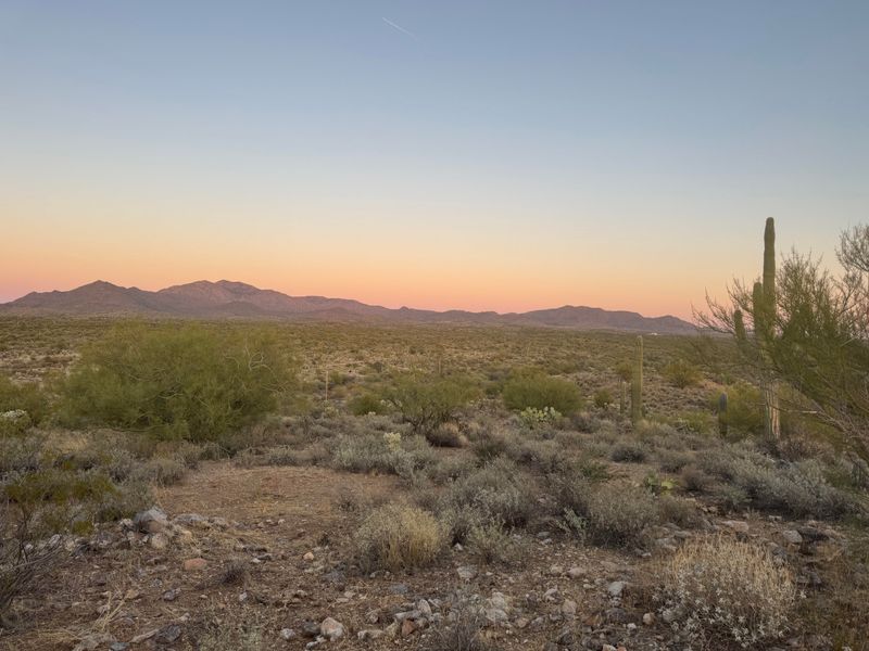 How Soil Type Changes Your Watering Schedule