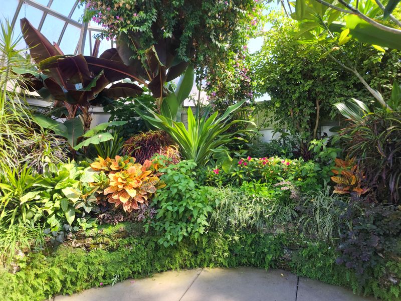 Divided Into Multiple Distinct Botanical Sections