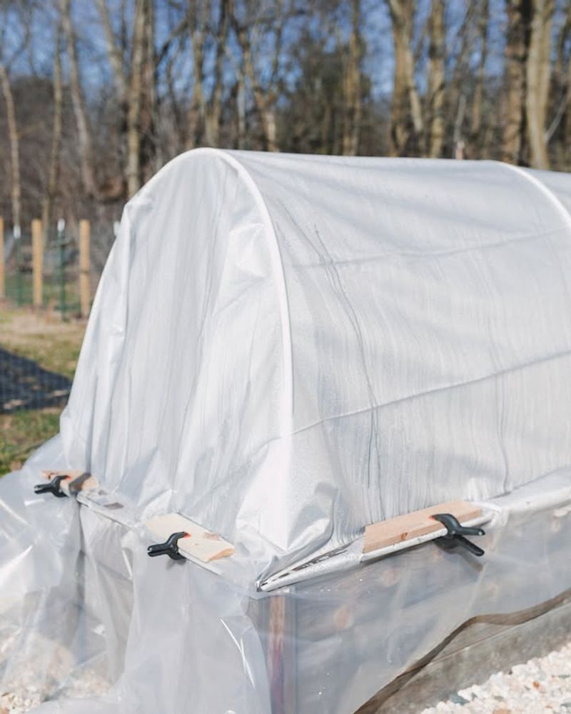 Sudden Temperature Swings Shock Tender Seedlings