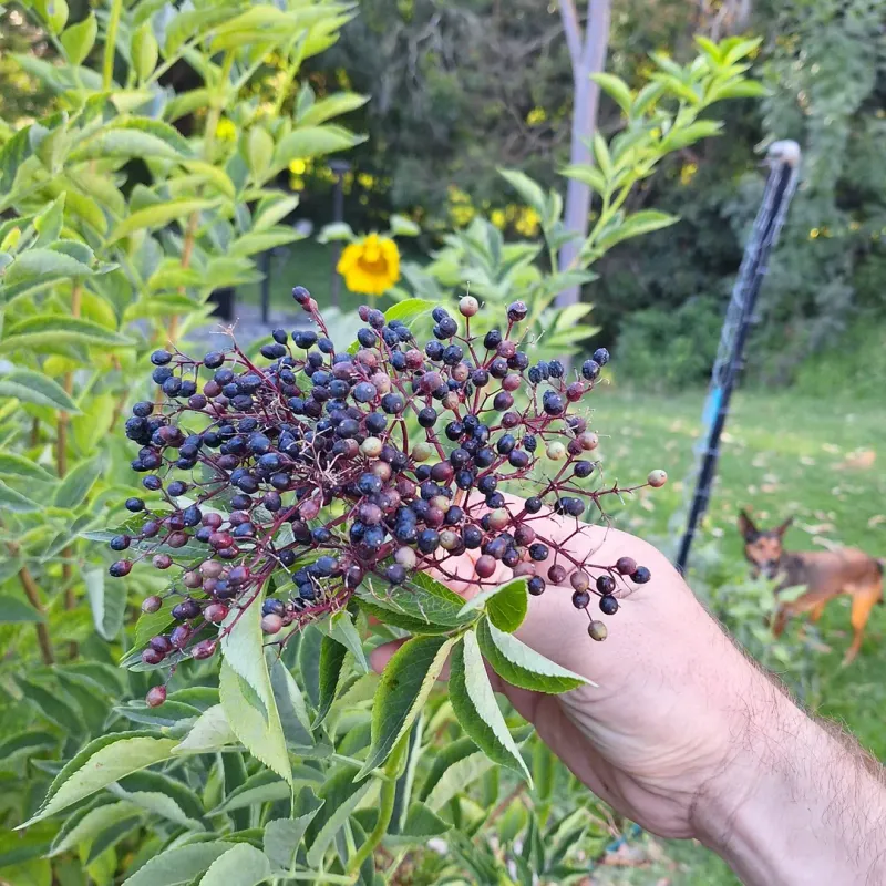 Winter Rain Supports Strong Early Establishment