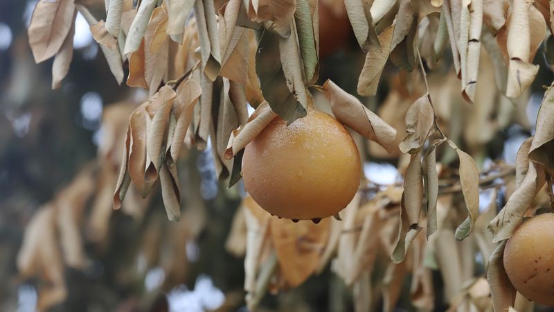 Be Patient — Recovery Takes Time