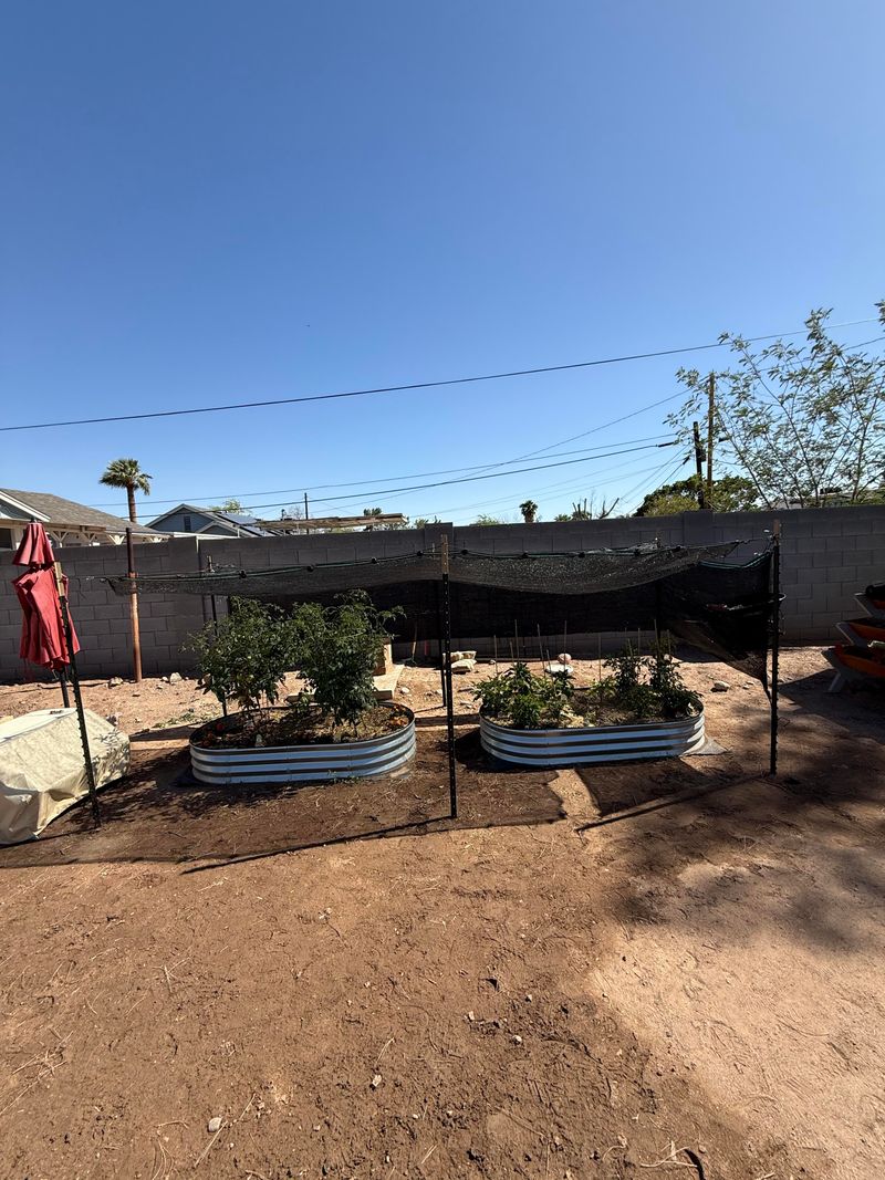 Raised Shade Panels Help Young Plants Establish Safely