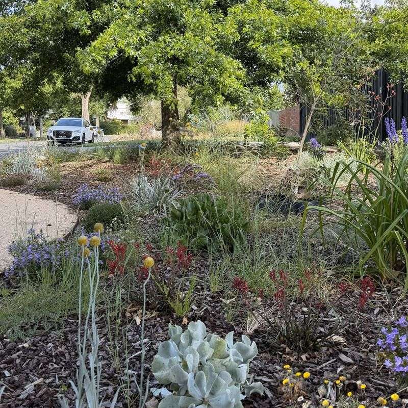 Biodiversity Brings The Chorus Back