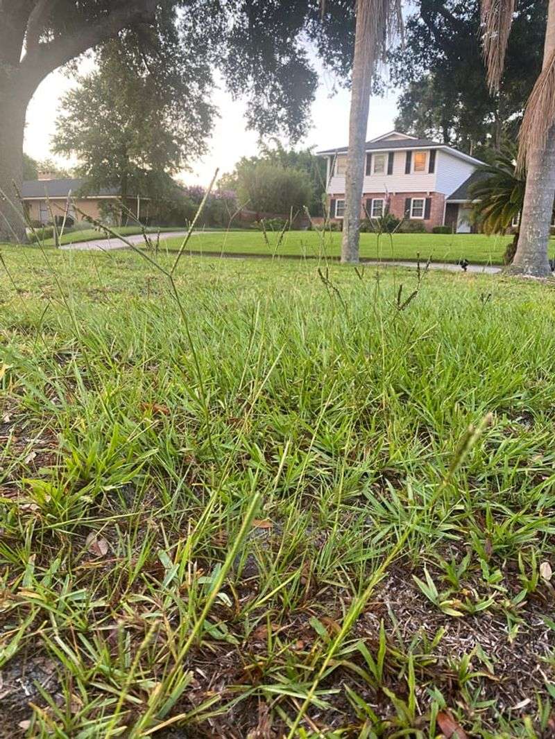 Every HOA Enforces Rules Differently