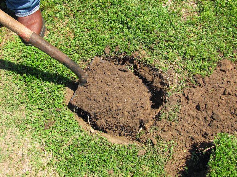 Stop Using The Wrong Soil Type