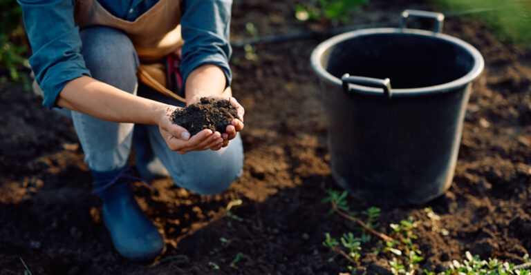 female gardener holds a handful of soil