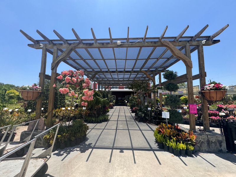 Florida Nursery Mart: A Wide World Of Valentine Flowers