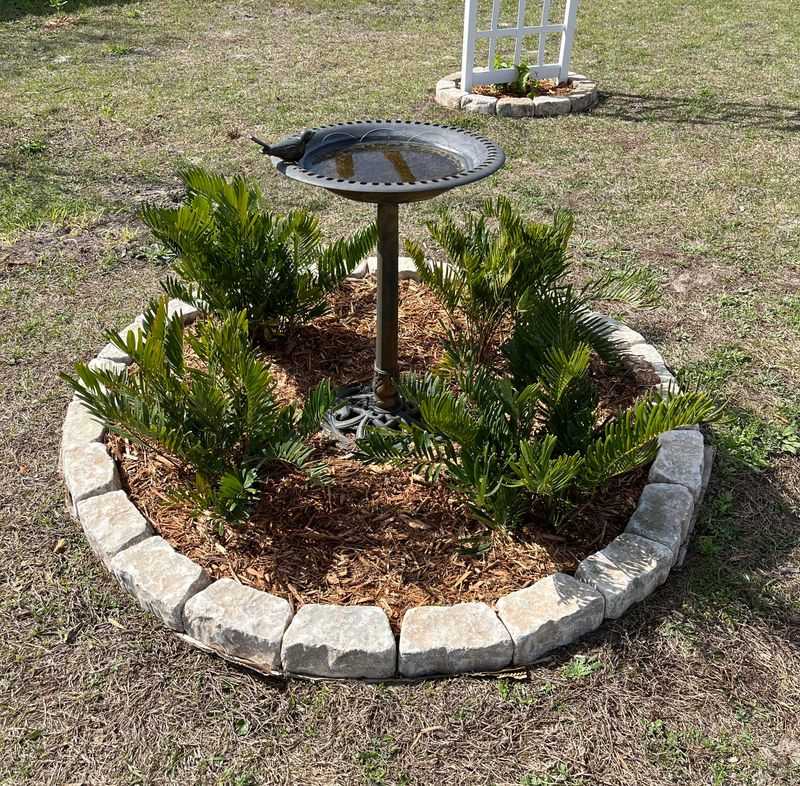 Protect Your Yard And Stay Safe During Nesting Season