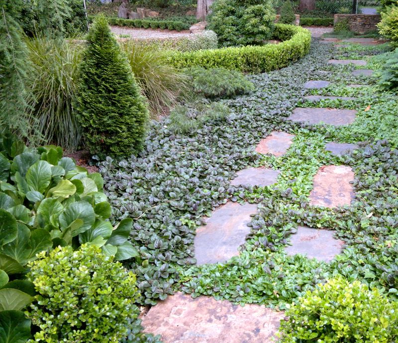 Groundcover Does Not Always Mean Less Maintenance