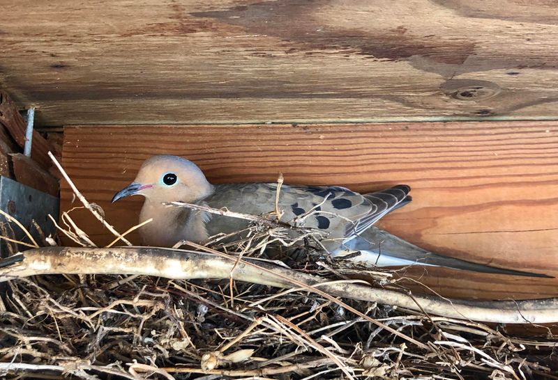 South Florida Starts Earlier Than North Florida