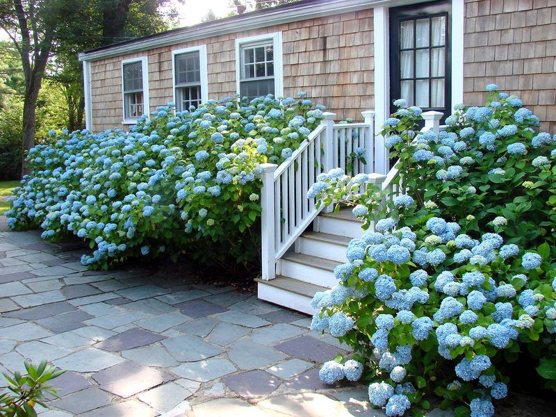 Increases Home Value And Curb Appeal Instantly