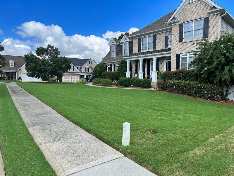 Georgia's Long Warm Season Demands Consistent Maintenance