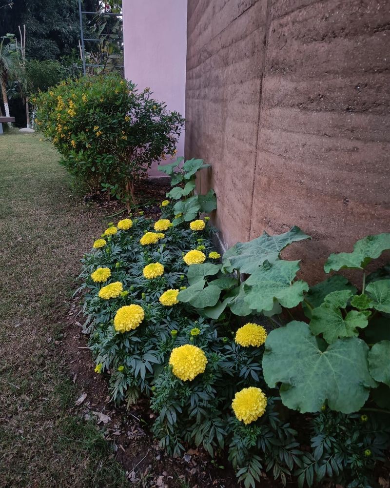 Colorful Edging Guides Visitors To The Home