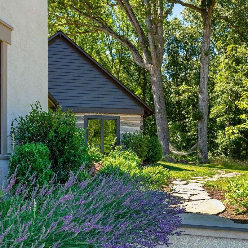 Low Maintenance And Long-Lasting