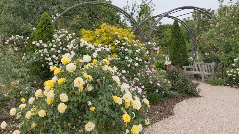 Stunning Seasonal Displays Throughout The Year