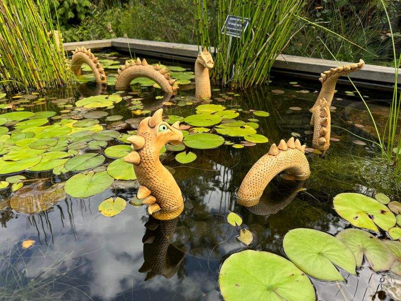 Part Of The University Of North Carolina