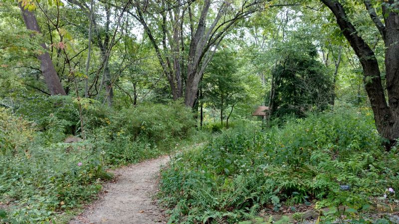 Beautiful Woodland Walking Trails Through Natural Landscapes