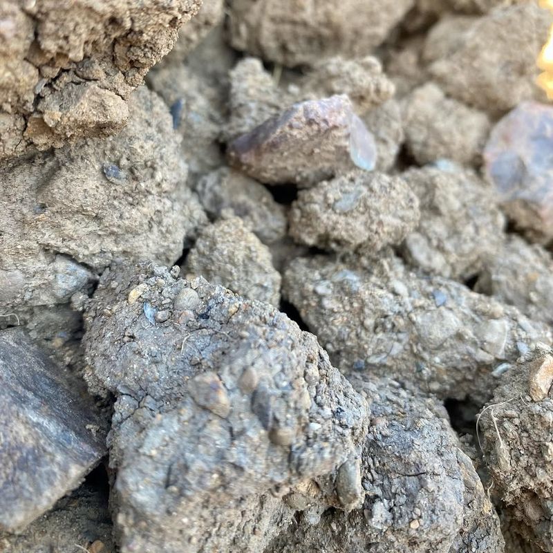 Heavy Clay Soils Retain Too Much Moisture