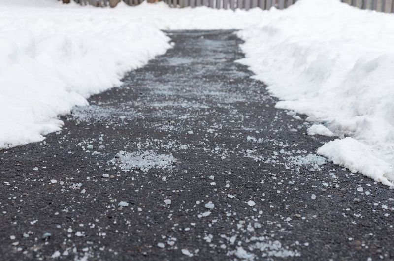 Compacted Snow Suffocates Turf Near Sidewalks