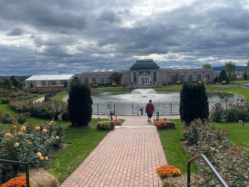 Lush Tropical Plants And Peaceful Water Features