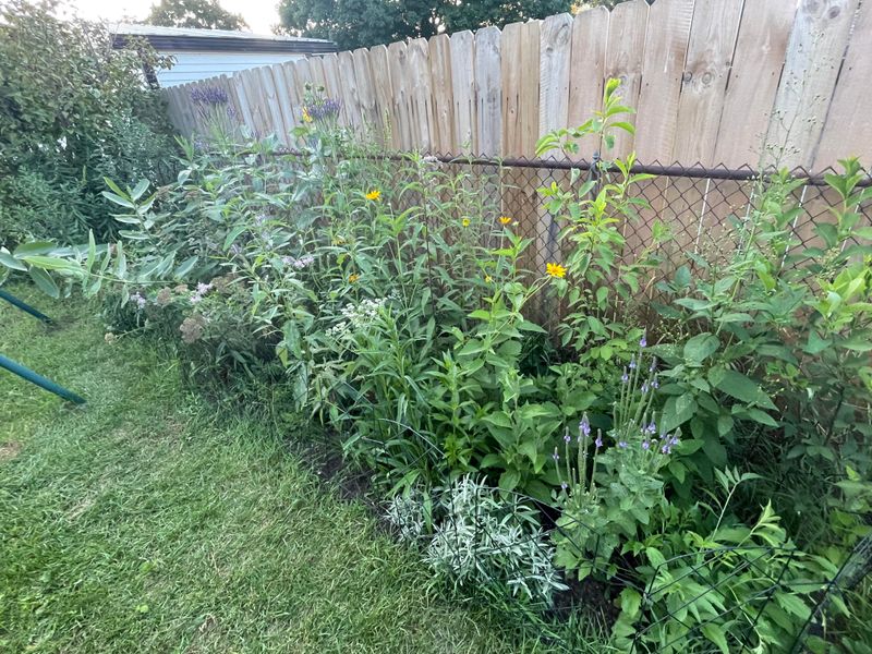 Bringing Back A Lost Piece Of Ohio