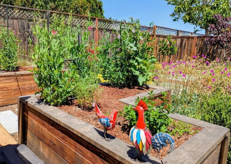 Aesthetic Rules Shape What Gets Approved