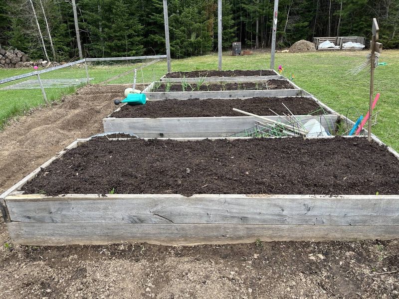 Use The 50/50 Soil And Compost Mix