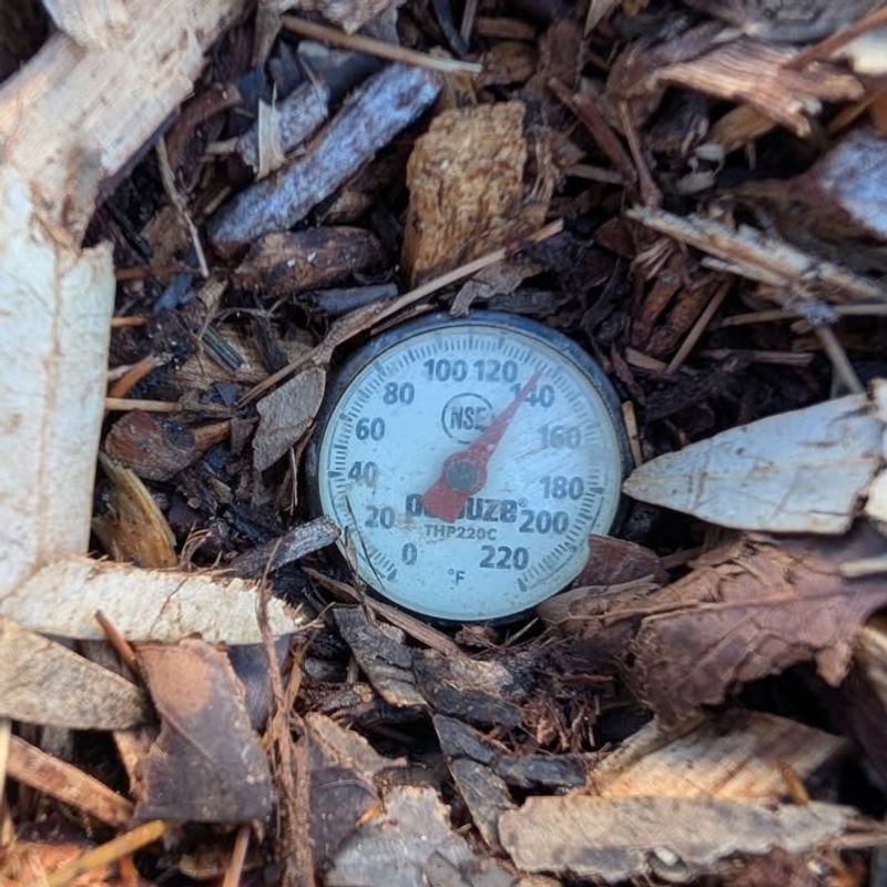 Soil Temperature In Arizona Matters More Than Moon Phase