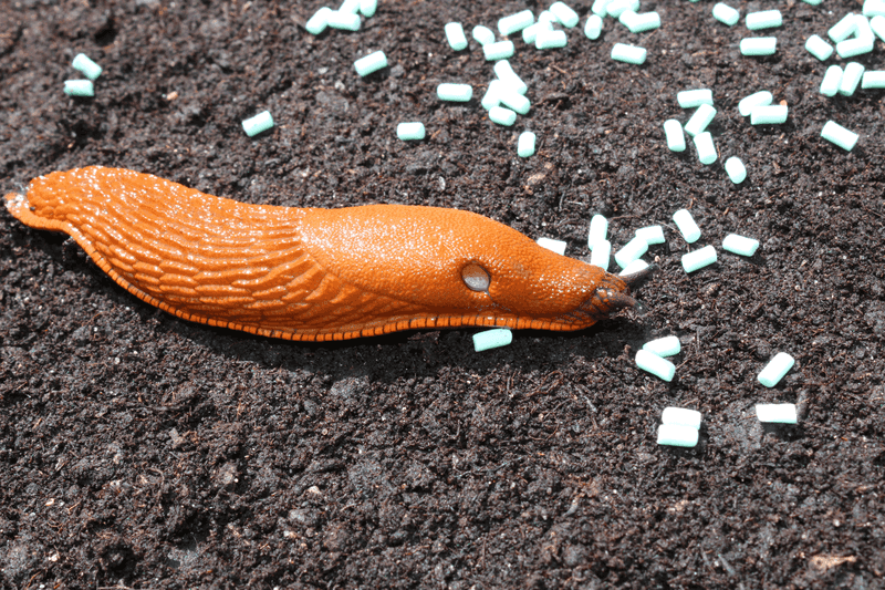 Environmentally Responsible Control Options