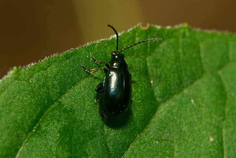 Regular Monitoring Enables Early Detection And Response