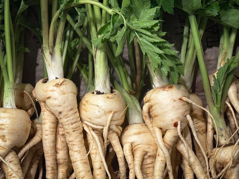 Parsnips Strengthen Below The Surface