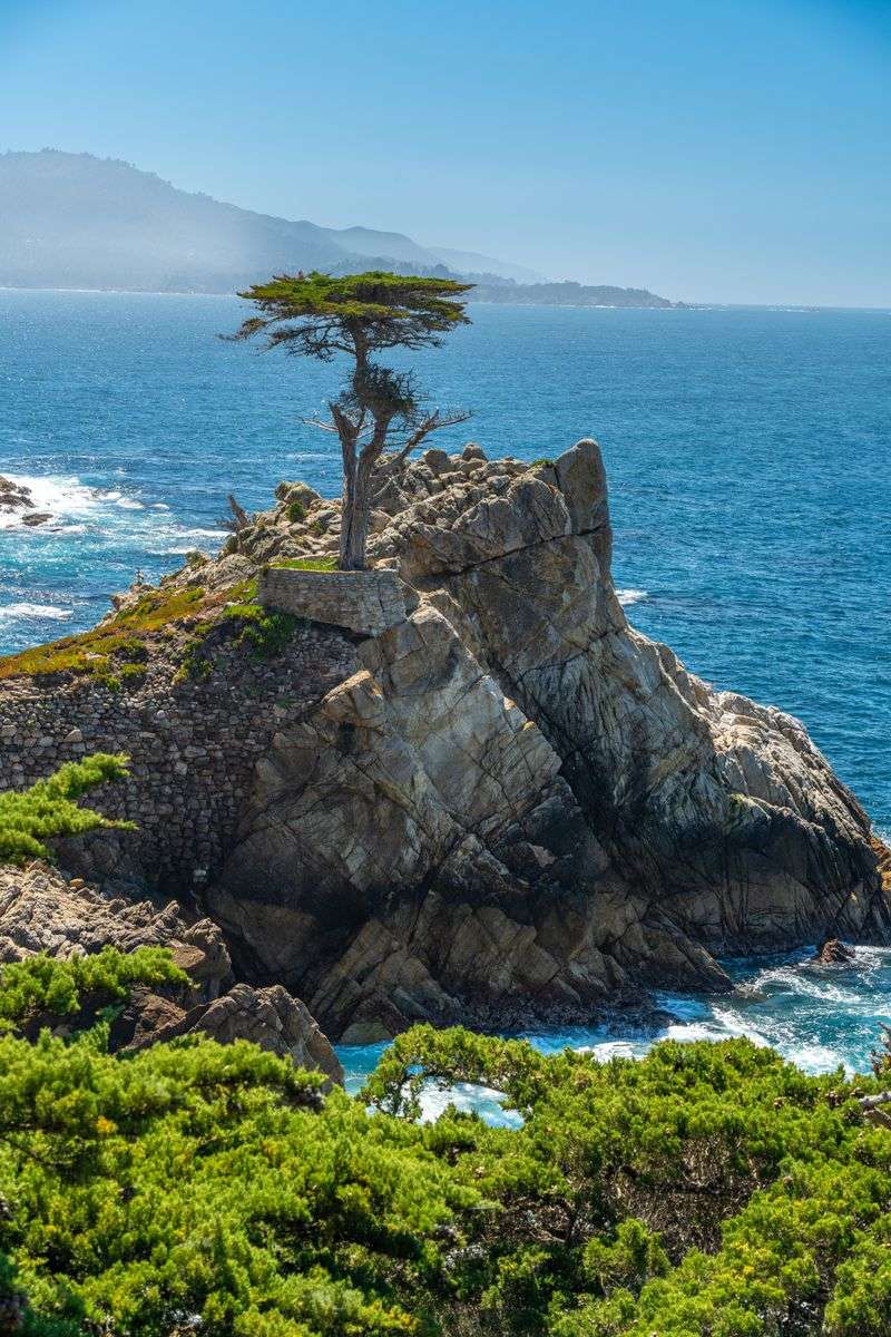The Lone Cypress, California's Most Iconic Coastal Tree (Monterey)