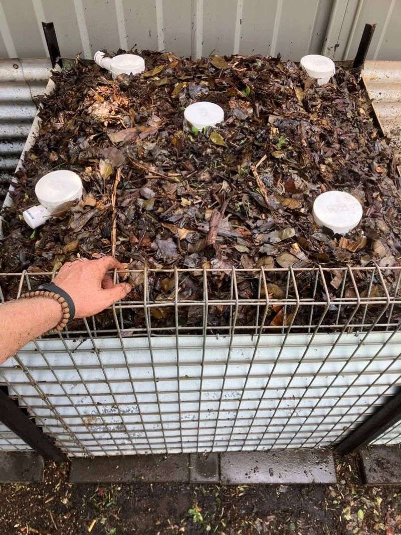 Compost Rebuilds Georgia Soil And Feeds Plants Slowly