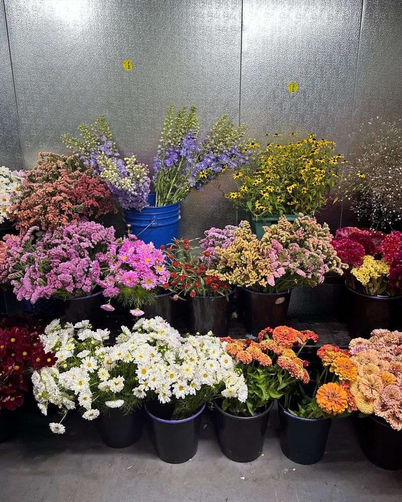 Portland Flower Market