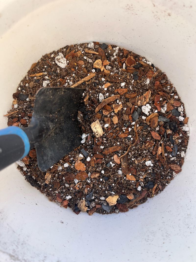 Keep Roots Happy With Airy Fast Draining Soil