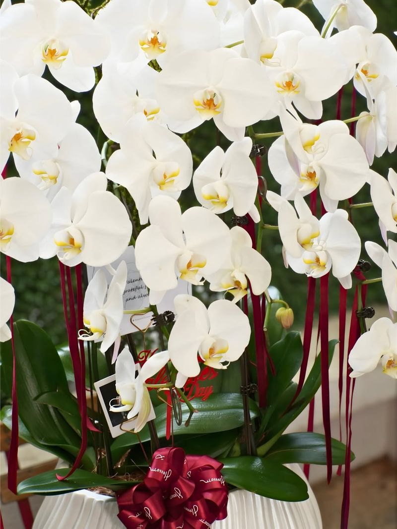 Make Your Valentine's Gift Feel Personal