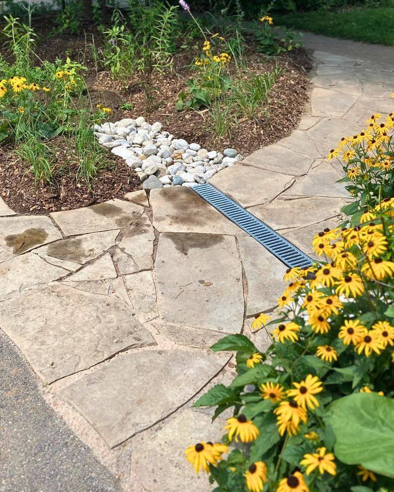 Rain Gardens Capture Runoff Naturally