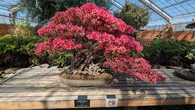 Gaffield Children's Garden Is Interactive