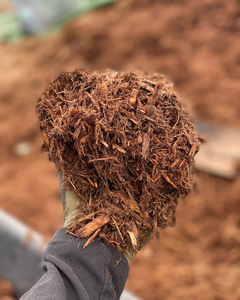 Mulch Layers Protect Vulnerable Soil